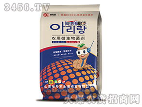 地专家的绿色密码 微生物菌剂如何重塑土壤生命力的奥秘