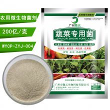 蔬菜有机种植技术全解 从标准到微生物菌剂应用