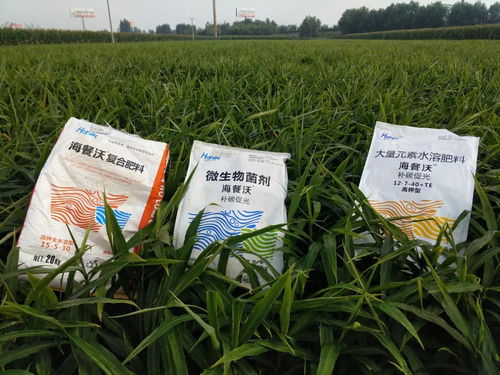 都说微生物菌剂好，到底有啥用？这篇文章说明白了！